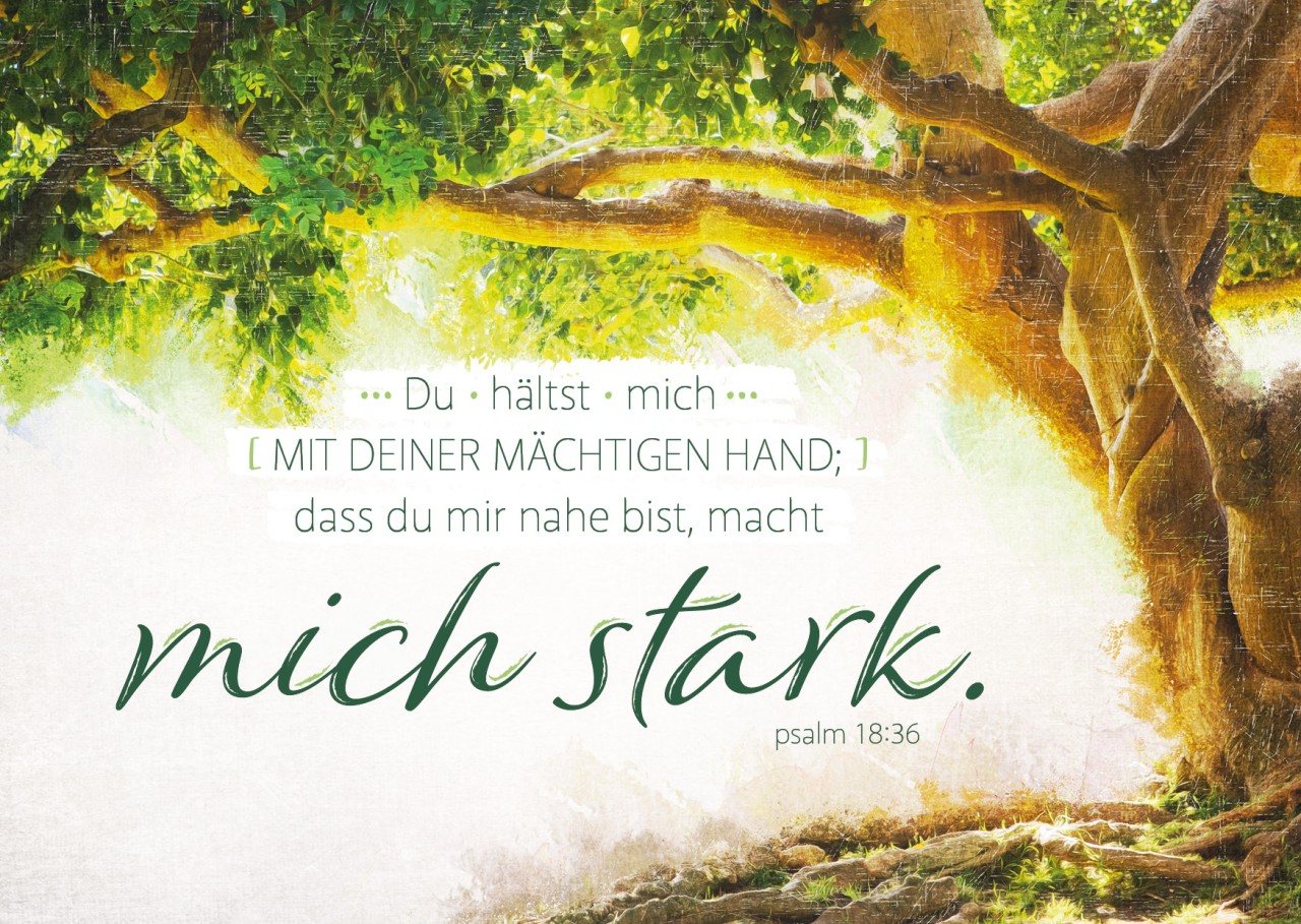 Der Mann Der Liebevoll Sagt Du Machst Mich Fertig herzfreuden.de